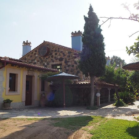 Medusa Gorgon Develikia Exterior photo